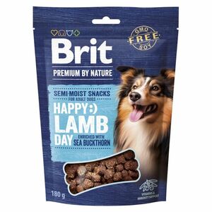 BRIT Premium by Nature SM Snacks Lamb 180 g obraz