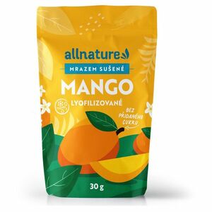 ALLNATURE Mango sušené mrazem 30 g obraz