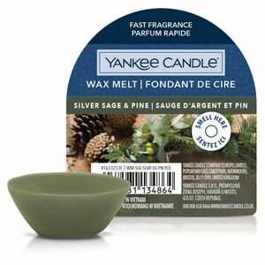 YANKEE CANDLE Vonný vosk Silver Sage & Pine 22 g obraz