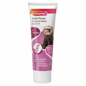 BEAPHAR Duo Active Ferret Pasta pro fretky 100 g obraz