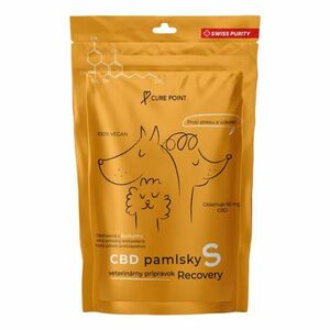 CURE POINT CBD Recovery S Pamlsky pro psy 100 g obraz