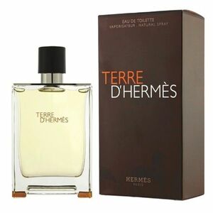 D´HERMÈS Terre D Hermes Toaletní voda 50 ml obraz