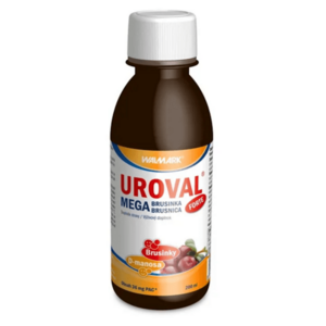 UROVAL Megabrusinka FORTE sirup 200 ml obraz