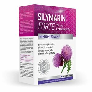 NATURPRODUKT Silymarin forte 4 40 tablet obraz