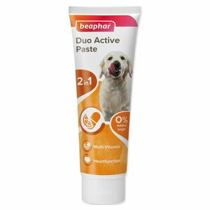 BEAPHAR Duo Active Multivitamínová pasta pro psy 100 g obraz