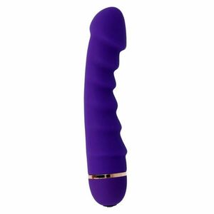 INTENSE Vibrátor Sally - 20 Speeds silicone purple obraz