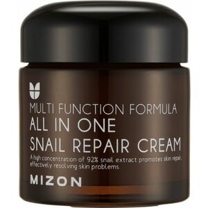 MIZON All In One Snail Repair, Krém na vrásky a problematickou pleť 75 ml obraz