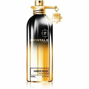 Montale Amber Musk parfémovaná voda unisex 100 ml obraz