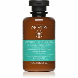 Apivita Oily Roots & Dry Ends Shampoo šampon pro mastnou vlasovou pokožku a suché konečky 250 ml obraz