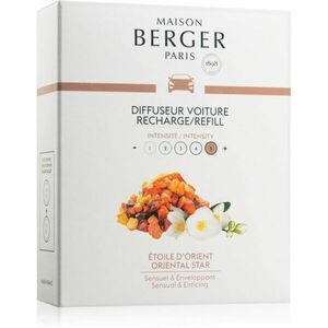 Maison Berger Paris Oriental Star vůně do auta náhradní náplň 2 x 17 g obraz