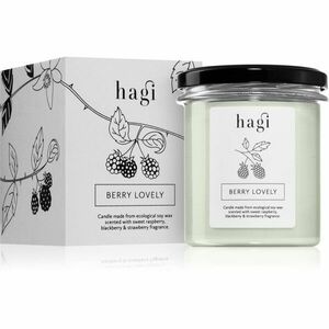 Hagi Berry Lovely vonná svíčka 230 g obraz