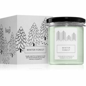 Hagi Winter Forest vonná svíčka 230 g obraz