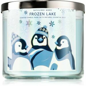 Bath & Body Works Frozen Lake vonná svíčka IV. 411 g obraz