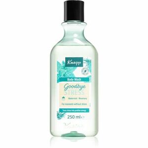 Kneipp Goodbye Stress sprchový gel pro tělo i mysl 250 ml obraz