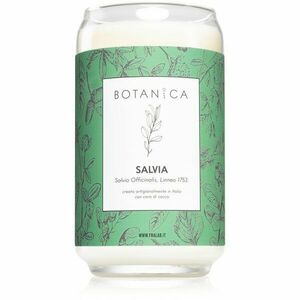 FraLab Botanica Salvia vonná svíčka 390 g obraz