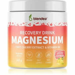 Blendea Magnesium Recovery Drink rozpustný nápoj pro snížení únavy, kvalitní spánek a elektrolytickou rovnováhu příchuť Lemon 165 g obraz