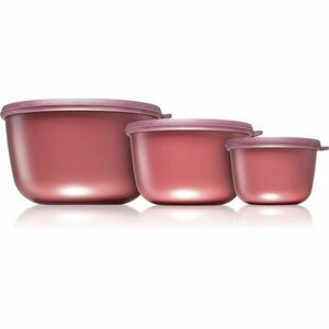 Mepal Cirqula set misek Nordic Berry obraz