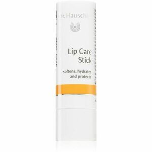 Dr. Hauschka Eye And Lip Care pěsticí tyčinka na rty 4, 9 g obraz