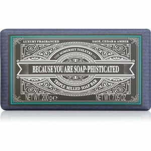 The Somerset Toiletry Co. Distinguished Gentlemen Soap Bar tuhé mýdlo pro muže Sage, Cedar & Amber 200 g obraz