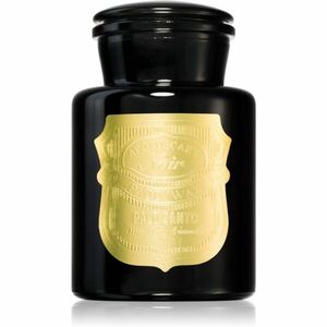 Paddywax Apothecary Noir Palo Santo vonná svíčka 226 g obraz