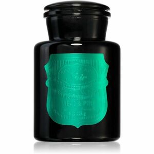 Paddywax Apothecary Noir Tabac & Pine vonná svíčka 226 g obraz