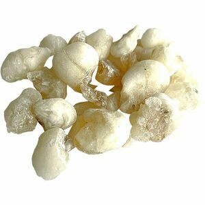 Jungle Way Oman Hojari White Royal kadidlo 20 g obraz