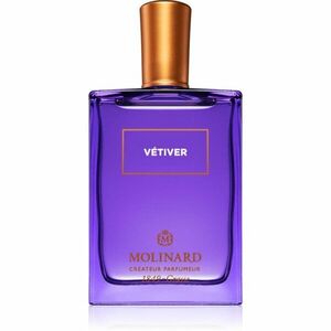 Molinard Vetiver parfémovaná voda unisex 75 ml obraz