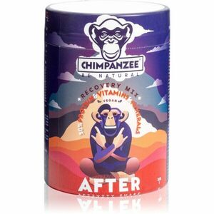 Chimpanzee Recovery Mix prášek na přípravu nápoje s proteinem příchuť Cocoa & Maple Syrup 350 g obraz