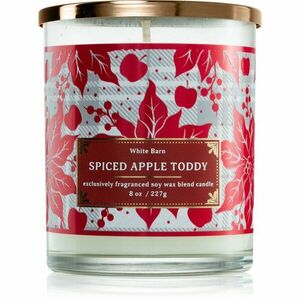 Bath & Body Works Spiced Apple Toddy svíčka 227 g obraz