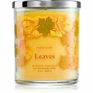 Bath & Body Works Leaves svíčka 227 g obraz