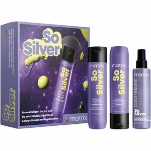 Matrix So Silver šampon neutralizující žluté tóny 300 ml obraz