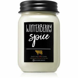 Milkhouse Candle Co. Farmhouse Winterberry Spice vonná svíčka 369 g obraz