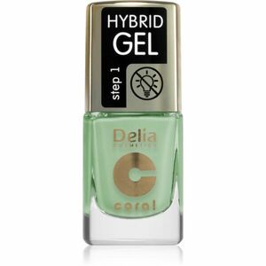 Delia Cosmetics Coral Nail Enamel Hybrid Gel gelový lak na nehty odstín 138 11 ml obraz