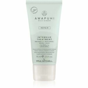 Paul Mitchell Awapuhi Wild Ginger Repair Intevsive Treatment intenzivní vlasová kúra pro poškozené vlasy 75 ml obraz