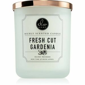 DW Home Signature Fresh Cut Gardenia vonná svíčka 425 g obraz