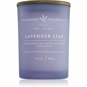 DW Home Charming Farmhouse Lavender Leaf vonná svíčka 230 g obraz