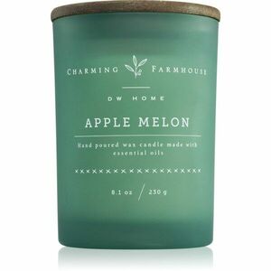 DW Home Charming Farmhouse Apple Melon vonná svíčka 230 g obraz