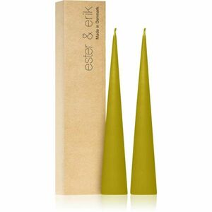 ester & erik cone candles pure wasabi (no. 68/2) dekorativní svíčka 2x25 cm obraz