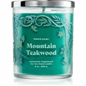 Bath & Body Works Teakwood vonná svíčka obraz