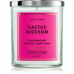 Bath & Body Works Cactus Blossom vonná svíčka 227 g obraz