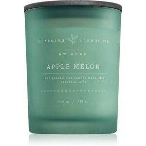 DW Home Charming Farmhouse Apple Melon vonná svíčka 414 g obraz