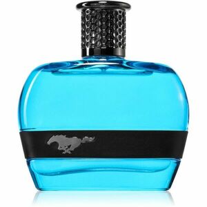 Mustang Blue toaletní voda pro muže 100 ml obraz