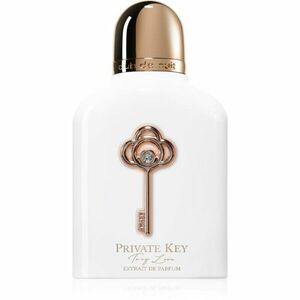 Armaf Private Key To my Soul parfémový extrakt unisex 100 ml obraz