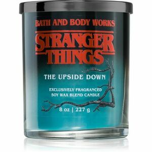 Bath & Body Works Stranger Things The Upside Down vonná svíčka 227 g obraz