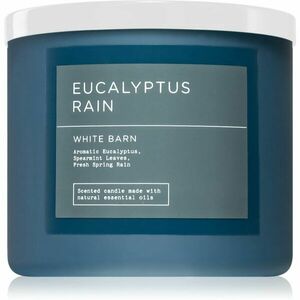 Bath & Body Works Eucalyptus Rain vonná svíčka 411 g obraz