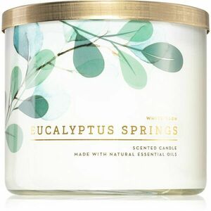 Bath & Body Works Eucalyptus Springs vonná svíčka 411 g obraz