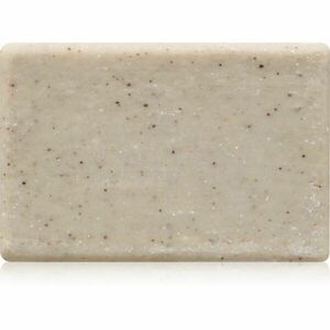 Baxter of California Exfoliating Body Bar tuhé mýdlo na tělo 30 g obraz