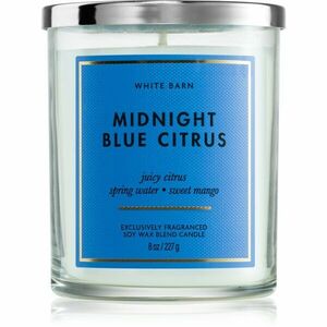 Bath & Body Works Midnight Blue Citrus vonná svíčka 227 g obraz