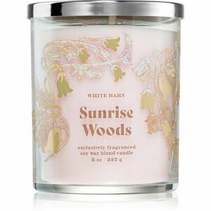 Bath & Body Works Sunrise Woods vonná svíčka 227 g obraz