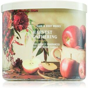 Bath & Body Works Harvest Gathering vonná svíčka 411 g obraz